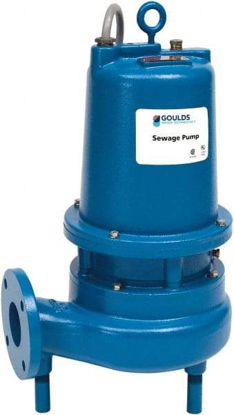 Goulds Pumps - 3 hp, 230 VAC Amp Rating, 230 VAC Volts, Single Speed Continuous Duty Operation, Sewage Pump - 1 Phase, Cast Iron Housing - Exact Tool & Supply