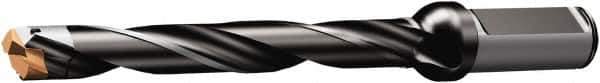 Sandvik Coromant - 16 to 16.99mm Diam, 8.19586xD, 138.51mm Max Depth, 20mm Shank Diam, 207mm OAL, Replaceable Tip Drill - 870-1690-16-PM Insert, 16 Seat Size, 870..L-8 Toolholder, Series CoroDrill 870 - Exact Tool & Supply
