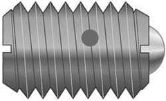 Vlier - M8x1.25, 5mm Ball Diam, 16mm Body Length, 1.5mm Max Ball Reach, Threaded Ball Plunger - Stainless Steel Body, Stainless Steel Ball, 1.12 Lb Initial End Force, 2.25 Lb Final End Force - Exact Tool & Supply