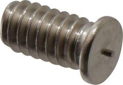 Bettermann - 1/4-20, Stainless Steel Threaded Flanged Studs - 1/2 Inch Overall Length - Exact Tool & Supply