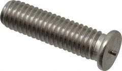 Bettermann - 10-32, Stainless Steel Threaded Flanged Studs - 3/4 Inch Overall Length - Exact Tool & Supply