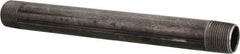 B&K Mueller - Schedule 40, 3/4" Diam x 9" Long Steel Black Pipe Nipple - Threaded - Exact Tool & Supply