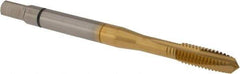 Accupro - M4x0.70 Metric Coarse, 3 Flute, TiN Finish, Powdered Metal Spiral Point Tap - Plug Chamfer, Right Hand Thread, 2-1/8" OAL, 6H Class of Fit - Exact Tool & Supply