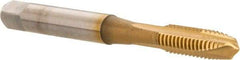 Accupro - M6x1.00 Metric Coarse, 3 Flute, TiN Finish, Powdered Metal Spiral Point Tap - Plug Chamfer, Right Hand Thread, 2-1/2" OAL, 6H Class of Fit - Exact Tool & Supply