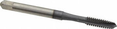 Accupro - #10-24 UNC, 3 Flute, TiCN Finish, Powdered Metal Spiral Point Tap - Plug Chamfer, Right Hand Thread, 2-3/8" OAL, 2B/3B Class of Fit - Exact Tool & Supply
