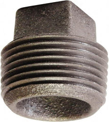 Made in USA - Size 2-1/2", Class 125, Cast Iron Black Pipe Square Plug - 175 psi, FPT End Connection - Exact Tool & Supply