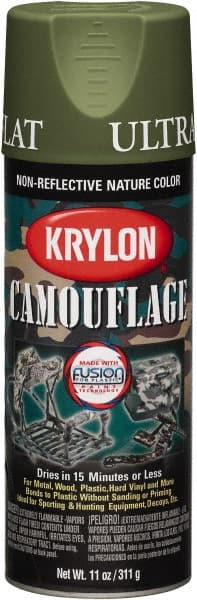 Krylon - Light Green, Flat, Direct to Plastic Spray Paint - Exact Tool & Supply
