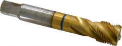 Guhring - 3/4-16 UNF 4 Flute 2B Modified Bottoming Spiral Flute Tap - Powdered Metal, TiN Finish, 4-1/4" OAL, Right Hand Flute, Right Hand Thread, Series 3911 - Exact Tool & Supply