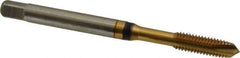 Guhring - #10-32 UNF, 3 Flute, TiN Finish, Cobalt Spiral Point Tap - Plug Chamfer, Right Hand Thread, 2.382" OAL, 0.551" Thread Length, 0.194" Shank Diam, 2B Class of Fit, Series 3929 - Exact Tool & Supply