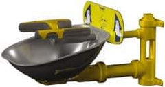 Bradley - Wall Mount, Stainless Steel Bowl, Eye & Face Wash Station - 1/2" Inlet, 30 psi Flow, 3 GPM Flow Rate - Exact Tool & Supply