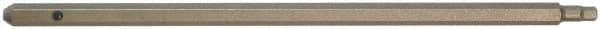 Paramount - 1/8" Hex Screwdriver Blade - 5mm Drive, 5-1/2" OAL - Exact Tool & Supply