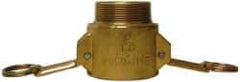 EVER-TITE Coupling Products - 2-1/2" Brass Cam & Groove Suction & Discharge Hose Female Coupler Male NPT Thread - Part B, 2-1/2" Thread, 250 Max psi - Exact Tool & Supply