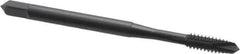 OSG - #6-32 UNC, 2 Flute, Oxide Finish, Vanadium High Speed Steel Spiral Point Tap - Plug Chamfer, Right Hand Thread, 2" OAL, 11/16" Thread Length, 0.141" Shank Diam, 2B Class of Fit, Series 300 - Exact Tool & Supply