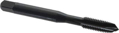OSG - 1/4-28 UNF, 3 Flute, Oxide Finish, Vanadium High Speed Steel Spiral Point Tap - Plug Chamfer, Right Hand Thread, 2-1/2" OAL, 1" Thread Length, 0.255" Shank Diam, Series 300 - Exact Tool & Supply