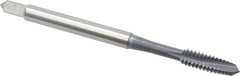 OSG - #6-32 UNC, 2 Flute, elektraLUBE Finish, High Speed Steel Spiral Point Tap - Plug Chamfer, Right Hand Thread, 2" OAL, 11/16" Thread Length, Series 105 - Exact Tool & Supply