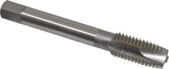 OSG - M12x1.75 Metric Coarse, 3 Flute, Bright Finish, High Speed Steel Spiral Point Tap - Plug Chamfer, Right Hand Thread, 3-3/8" OAL, 1-21/32" Thread Length, 0.367" Shank Diam, 6H Class of Fit, Series 142 - Exact Tool & Supply