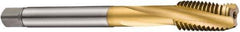 DORMER - M16x2.00 Metric Coarse 3 Flute 6H Bottoming Spiral Flute Tap - Cobalt, TiN Finish, 110mm OAL, Right Hand Flute, Right Hand Thread, Series E263 - Exact Tool & Supply
