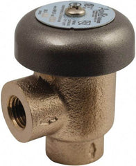 Conbraco - 1/2" Pipe, 125 Max psi, Bronze, Coated Lead Free Bronze, Atmospheric Type Vacuum Breaker Valve - Silicon Carbide Seal, Female NPT End Connections, Use with Potable Water Applications - Exact Tool & Supply