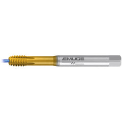 ‎M 6-6HX IF1-H-SN-IKZ-TIN-T26 - Exact Tool & Supply