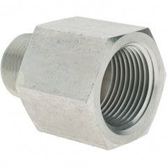 Parker - MNPT x FNPT Industrial Pipe Adapter - Exact Tool & Supply