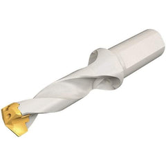 Iscar - 15 to 15.9mm Diam, 3xD, 45mm Max Depth, 20mm Shank Diam, 117.5mm OAL, Replaceable Tip Drill - IDK, IDM, IDN, IDP Insert, 15 Seat Size, DSM Toolholder, Series ChamDrillJet - Exact Tool & Supply