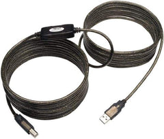 Tripp-Lite - 25' Long, USB A/B Computer Cable - Beige, Male x Male - Exact Tool & Supply