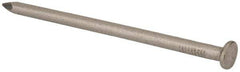 Made in USA - 20D, 6 Gauge, 4" OAL Common Nails - Smooth Shank, T304 Stainless Steel - Exact Tool & Supply
