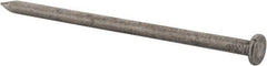 Value Collection - 20D, 6 Gauge, 4" OAL Common Nails - Ring Shank, Grade 2 Steel, Bright Finish - Exact Tool & Supply