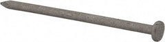 Value Collection - 10D, 9 Gauge, 3" OAL Common Nails - Ring Shank, Grade 2 Steel, Galvanized Finish - Exact Tool & Supply