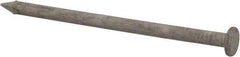 Value Collection - 8D, 10 Gauge, 2-1/2" OAL Common Nails - Ring Shank, Grade 2 Steel, Galvanized Finish - Exact Tool & Supply