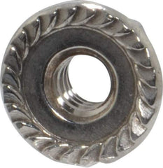 Value Collection - #10-24, 1/2" Flange Diam, Serrated Flange Nut - Grade 18-8 Stainless Steel, 7/32" Flange Height - Exact Tool & Supply