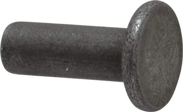 RivetKing - 3/16" Body Diam, Flat Uncoated Steel Solid Rivet - 1/2" Length Under Head - Exact Tool & Supply