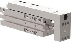 De-Sta-Co - 25mm Stroke, 0.4331" Shaft Diam, Double-Acting Cylinder, Pneumatic Slide - 102mm Long x 20mm Wide, Buna-N Seal, Ball Bearing, Series DLM - Exact Tool & Supply