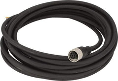 Telemecanique Sensors - 2 Amp, M12 8 Pin Female Straight Cordset Sensor and Receptacle - 250 VAC, 300 VDC, 5m Cable Length, IP67 Ingress Rating - Exact Tool & Supply