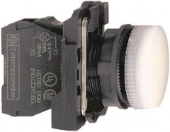 Schneider Electric - 230-240 VAC at 50/60 Hz White Lens LED Pilot Light - Round Lens, Screw Clamp Connector, 30mm Wide, Vibration Resistant, Water Resistant - Exact Tool & Supply