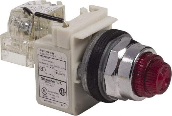 Schneider Electric - 120 VAC Red Lens LED Pilot Light - Round Lens, Screw Clamp Connector - Exact Tool & Supply