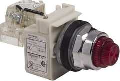 Schneider Electric - 120 VAC Red Lens LED Pilot Light - Round Lens, Screw Clamp Connector - Exact Tool & Supply