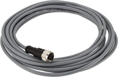 Telemecanique Sensors - 3 Amp, M12 4 Pin Female Straight Cordset Sensor and Receptacle - 250 VAC, 300 VDC, 5m Cable Length, IP67 Ingress Rating - Exact Tool & Supply