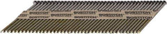 Stanley Bostitch - 12 Gauge 0.113" Shank Diam 2-3/8" Long Framing Nails for Power Nailers - Steel, Bright Finish, Ring Shank, Angled Stick Paper Tape Collation, Round Head - Exact Tool & Supply