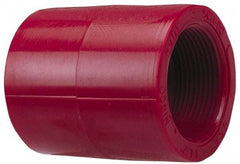 NIBCO - 1/2" PVDF Plastic Pipe Coupling - Schedule 80, FIPT x FIPT End Connections - Exact Tool & Supply