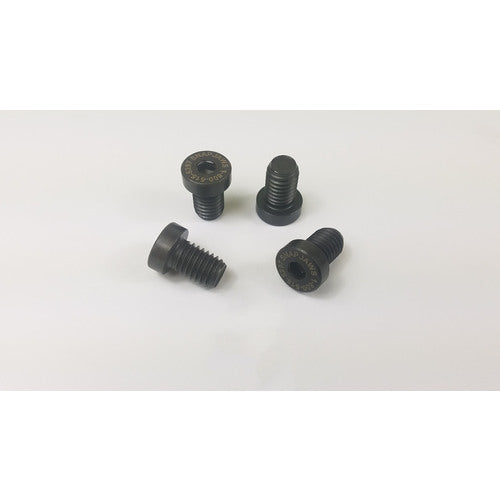 6″ Mount Screws 4 Pc. Per Pack - Exact Tool & Supply