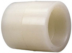 NIBCO - 2" PVDF Plastic Pipe Adapter Coupling - Schedule 80, S x FIPT End Connections - Exact Tool & Supply