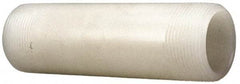 NIBCO - 2" Pipe, 3" Long PVDF Threaded Plastic Pipe Nipple - Schedule 80, Natural - Exact Tool & Supply