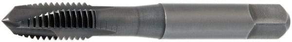 OSG - #6-32 UNC, 2 Flute, Oxide Finish, Vanadium High Speed Steel Spiral Point Tap - Plug Chamfer, Right Hand Thread, 2" OAL, 11/16" Thread Length, 0.141" Shank Diam, 2B Class of Fit, Series 300 - Exact Tool & Supply