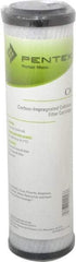 Pentair - 2-5/8" OD, 1µ, Carbon Impregnated Cellulose Pleated-Dual Purpose-Powder Activated Cartridge Filter - 9-3/4" Long, Reduces Tastes, Odors & Sediments - Exact Tool & Supply