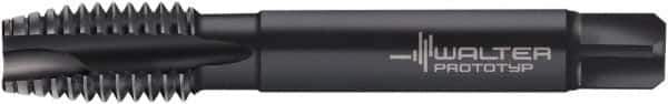 Walter-Titex - 3/8-16 UNC, 4 Flutes, Plug Chamfer, Oxide Finish, Cobalt Spiral Point STI Tap - 3-3/8" OAL, 0.367" Shank Diam, 7/16" Square Length, 0.275" Square Size, 3B Class of Fit, Series A222539 - Exact Tool & Supply