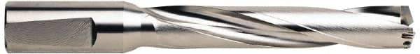 Guhring - 21 to 22.5mm Diam, 5xD, 110mm Max Depth, 1" Shank Diam, 137mm Flute, 197mm OAL, Replaceable Tip Drill - RT 800 WP Insert, 2.2 Seat Size, Series 5243 - Exact Tool & Supply