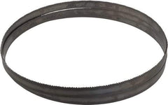 Starrett - 8 to 12 TPI, 9' Long x 3/4" Wide x 0.035" Thick, Welded Band Saw Blade - Bi-Metal, Toothed Edge, Raker Tooth Set, Contour Cutting - Exact Tool & Supply