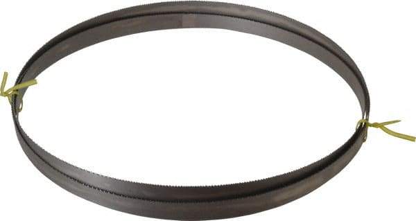 Starrett - 10 to 14 TPI, 11' Long x 3/4" Wide x 0.035" Thick, Welded Band Saw Blade - Bi-Metal, Toothed Edge, Raker Tooth Set, Contour Cutting - Exact Tool & Supply