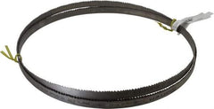 Starrett - 5 to 8 TPI, 11' 5" Long x 3/4" Wide x 0.035" Thick, Welded Band Saw Blade - Bi-Metal, Toothed Edge, Raker Tooth Set, Contour Cutting - Exact Tool & Supply